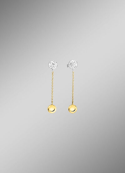 Wunderschöne Ohrstecker in Bicolor 