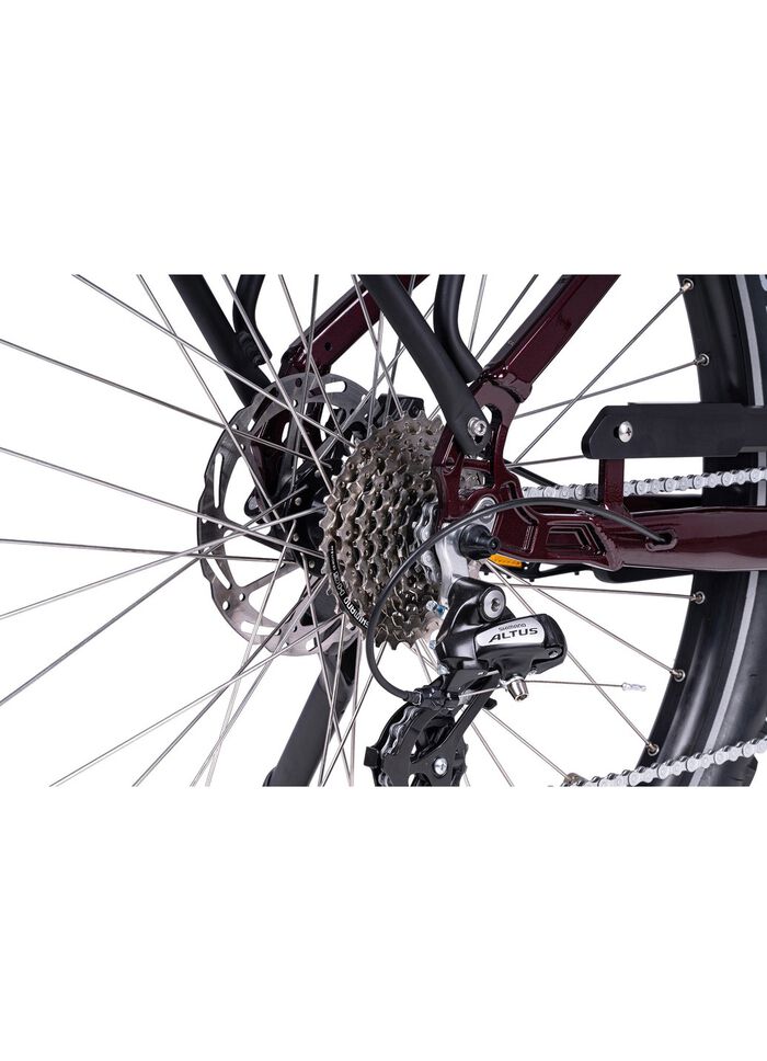 E-Bike Deluxe SUV Easy 