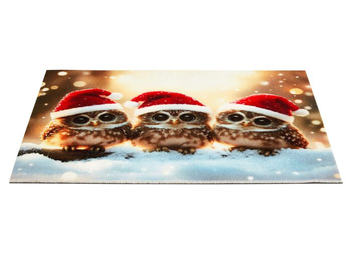 Fussmatte mit rutschhemmender Gummi-R&uuml;ckseite 