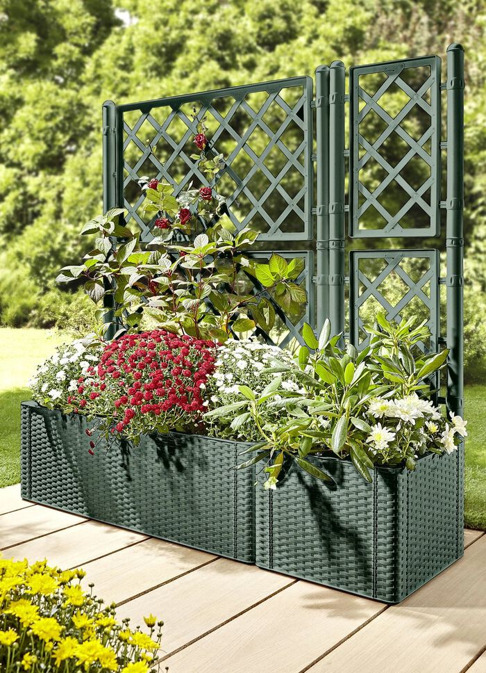 Pflanzkasten in Rattan-Optik GR&Uuml;N