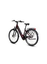 E-Bike Comfort Plus 5.0 von Saxonette 