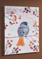 Bild Vogel des Jahres 2025 Hausrotschwanz auf Leinwand 