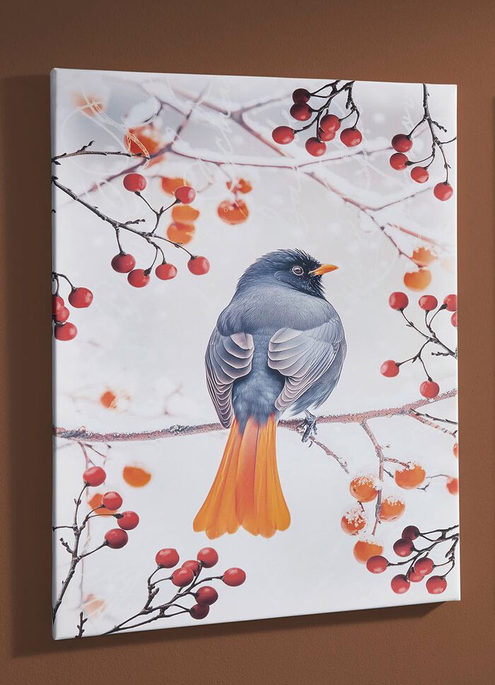 Bild Vogel des Jahres 2025 Hausrotschwanz auf Leinwand 