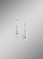 Strahlende Akzente &ndash; Exquisite Ohrringe aus Silber 