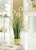 Allium-Gesteck im Topf 