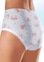 F&uuml;nferpack Slips mit Gummizug im Bund 