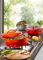 Gusseisen-Schmortopf und -Br&auml;ter 