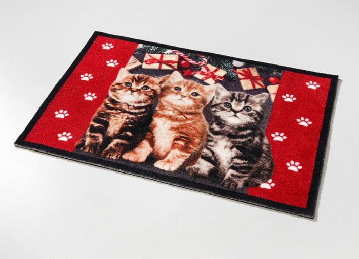 Fussmatte mit beschichteter R&uuml;ckseite 