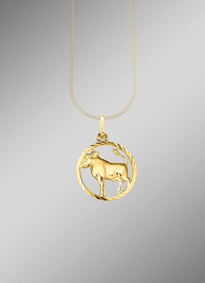 Sternzeichen-Anh&auml;nger in Silber 925/- fein 