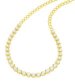 Exklusives Diamant-Collie 