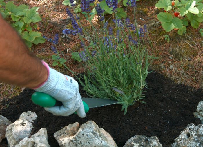 Mehrzweck-Schaufel Root Digger 