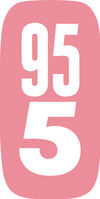 BADERde_CH1Logo_Schiesser_95_5_2022F