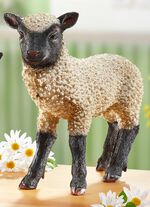 Sch&auml;fchen aus Polyresin WEISS-SCHWARZ