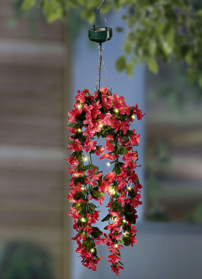 Solar-Blumenampel für Balkon und Terrasse 