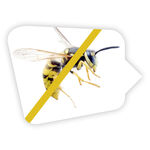 VapoWesp Räucherbox zum Fernhalten von Wespen 