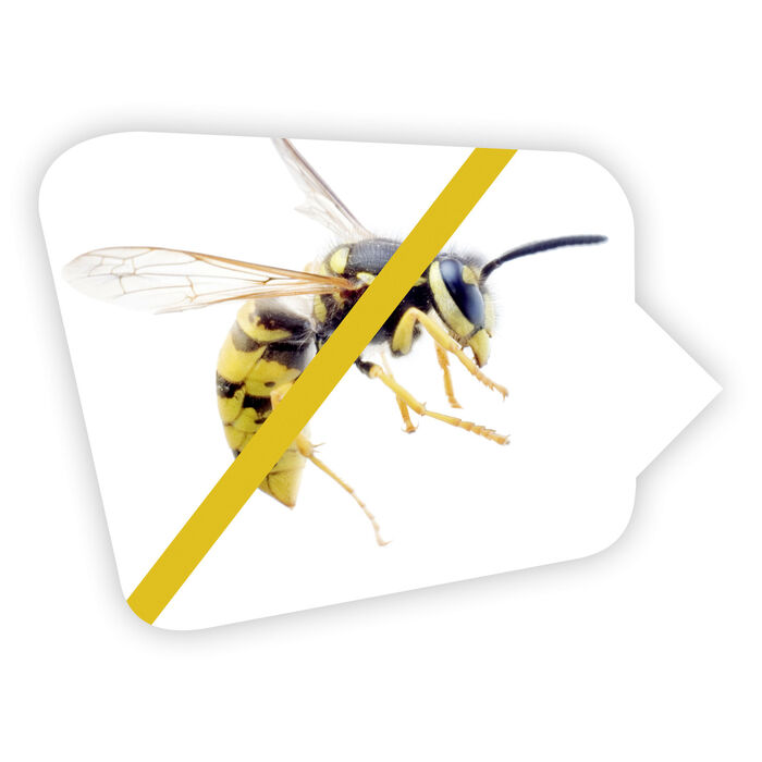 VapoWesp Räucherbox zum Fernhalten von Wespen 