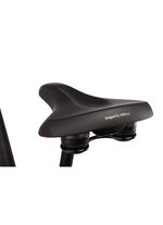 E-Bike Comfort Plus 5.0 von Saxonette 