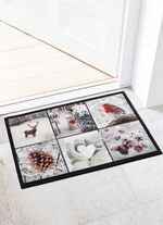 Fussmatte mit rutschemmender R&uuml;ckseite 