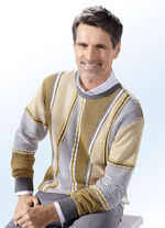 Rundhalspullover in 3 Farben MAISGELB