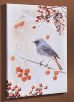 Bild Vogel des Jahres 2025 Hausrotschwanz auf Leinwand BUNT