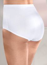 brio lingerie F&uuml;nferpack Slips mit elastischen Abschl&uuml;ssen 