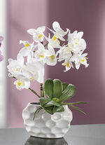 Orchideen-Gesteck in Keramikvase WEISS