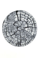 Teppich im naturnahen Baumstamm-Design GRAU