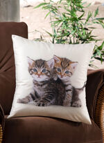 Kissenbezug mit Kätzchen in Samtoptik