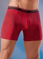 Viererpack Pants mit Elastikbund 