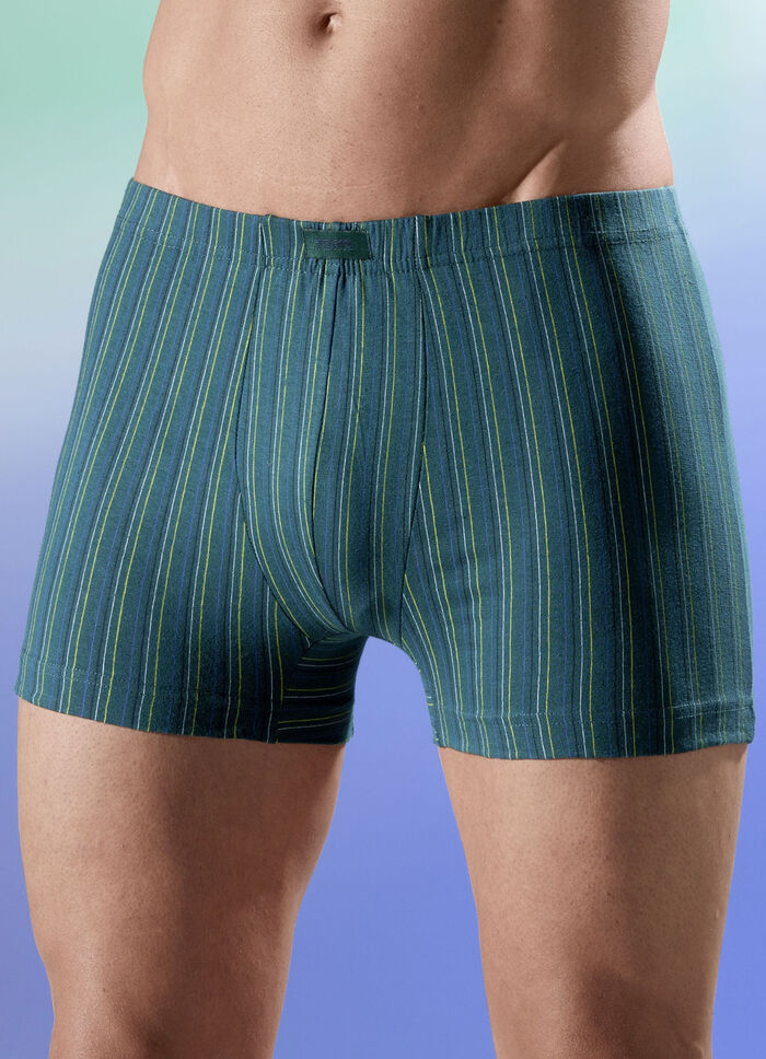 Viererpack Pants mit Streifendessin 