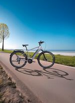 E-Trekking-Bike X-Road 5.2 von SAXONETTE 