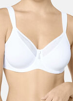 Triumph True Shape Sensation Minimizer-B&uuml;gel-BH 