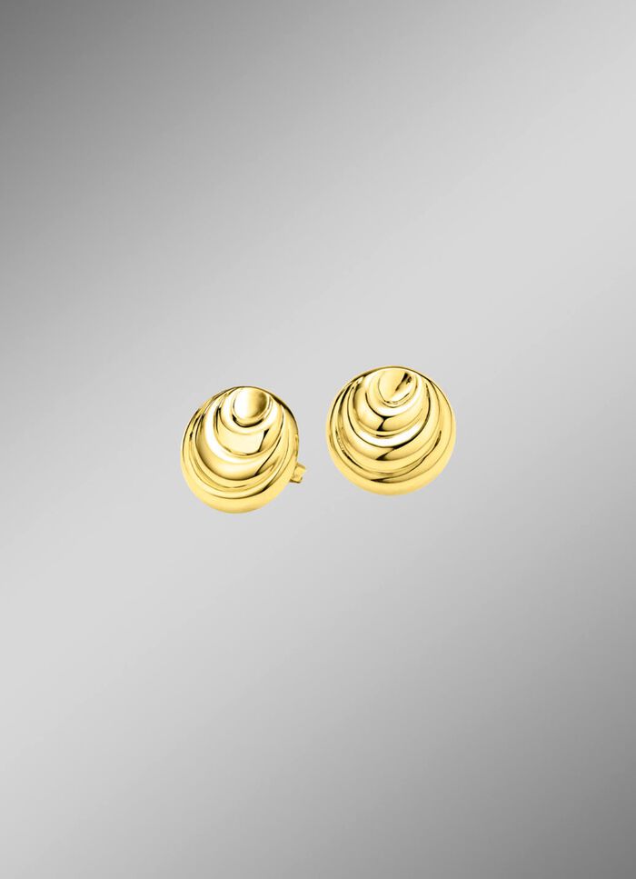 Ohrstecker aus Gold mit gl&auml;nzendem Finish 