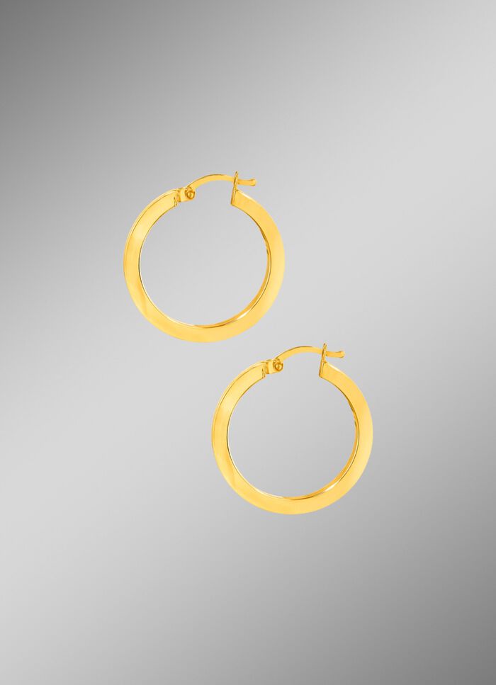 Hochgl&auml;nzende Creolen 