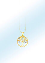 Interessanter Anh&auml;nger 