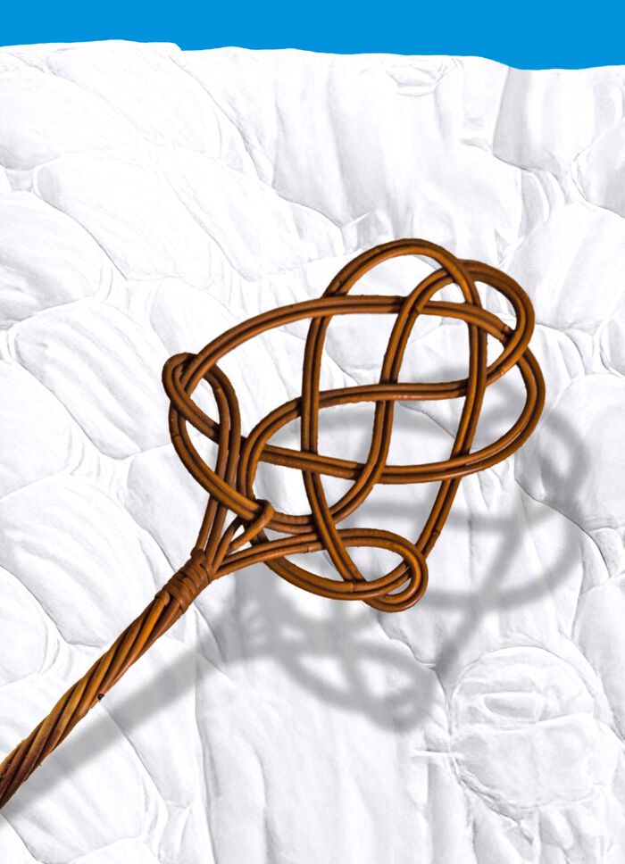 Milbensauger – vernichtet 99,9% aller Milben, Bakterien und Keime BLAU