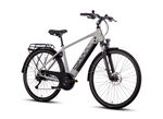 E-Trekking-Bike X-Road 5.0 SILBER