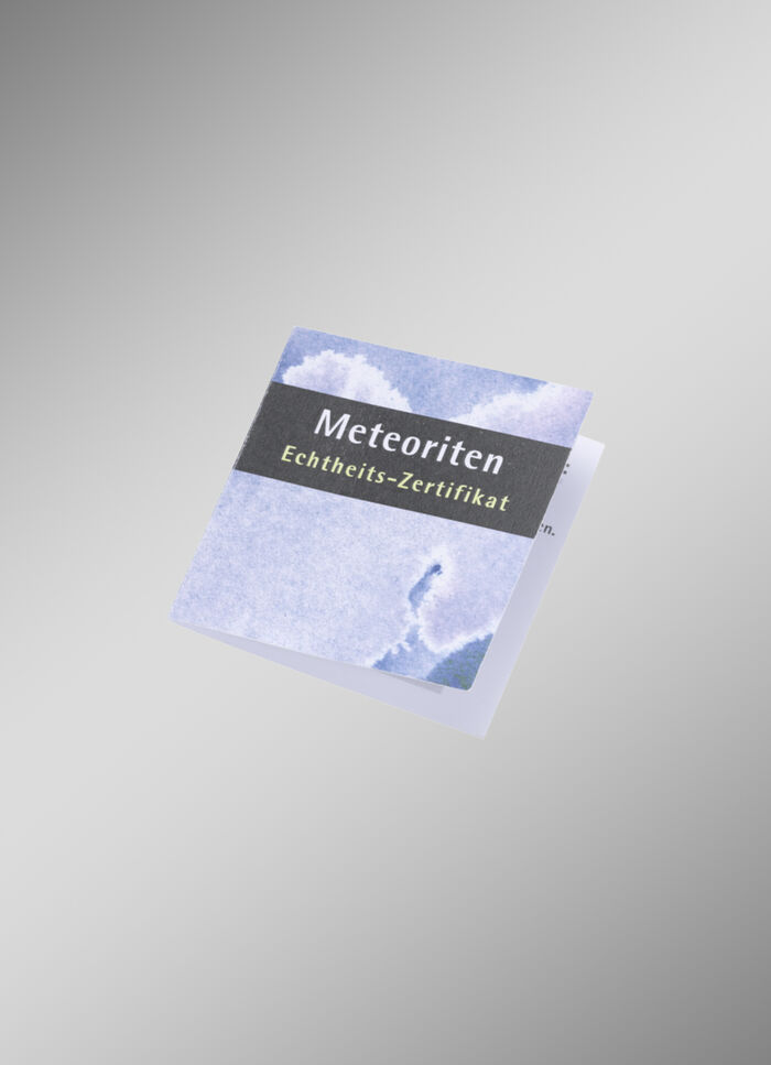 Meteorit-Anh&auml;nger 