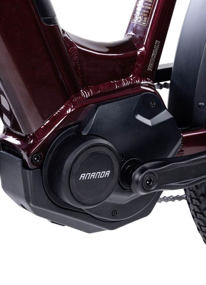 E-Bike Deluxe SUV Easy BURGUND-GLANZ