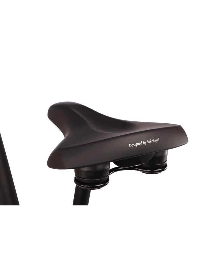 E-Bike Comfort Plus 5.0 von Saxonette 