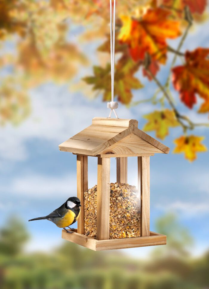 Vogelfutterhaus aus Kiefernholz 