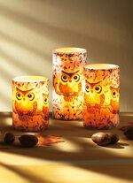 LED-Echtwachskerzen &laquo;Eulen&raquo;, 3er-Set 