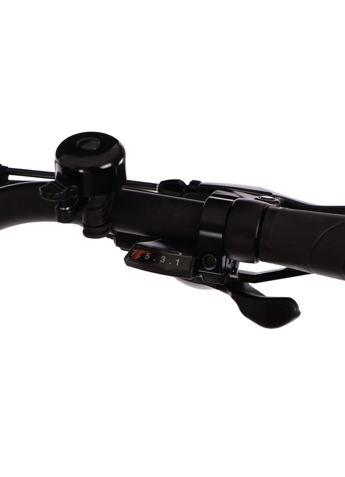 E-Bike Comfort Sport Easy von SAXXX 