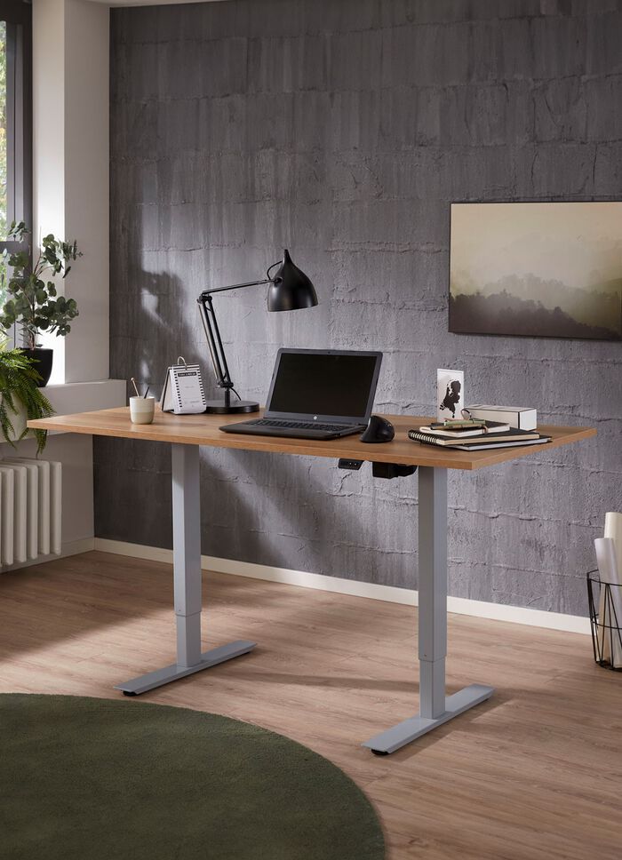 Elektrisch h&ouml;henverstellbarer Schreibtisch 