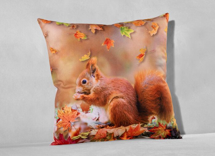 Kissenbezug in Veloursoptik mit Eichhörnchen-Motiv 