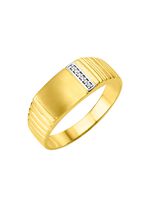 Mattierter Herrenring mit 6 Diamanten 