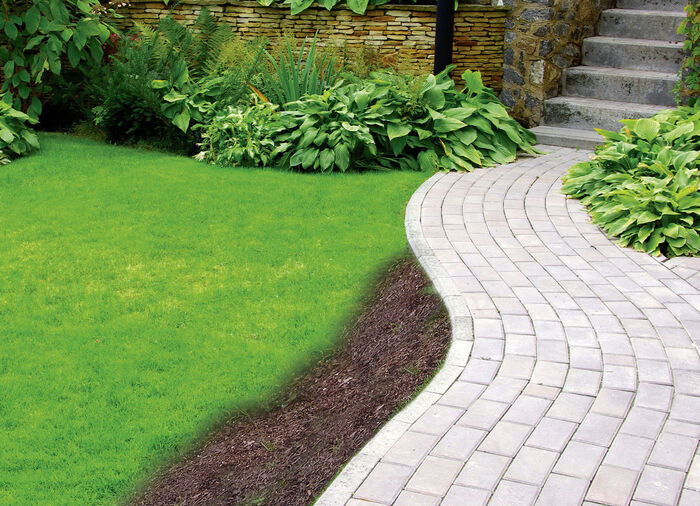 Starlyf Blumensamen-Matte 