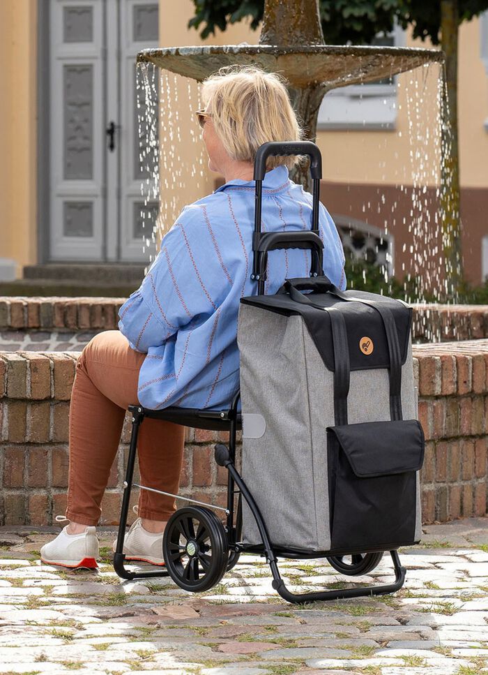 Andersen Einkaufsroller mit Sitzm&ouml;glichkeit GRAU