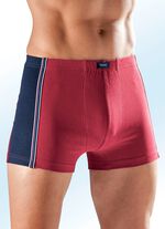 Sechserpack Pants mit Dehnbund 