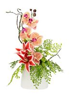 Bezauberndes Orchideen-Gesteck in Vase 